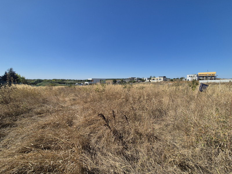 Teren 2500 mp – Izvorani | Deschidere directă la lac 