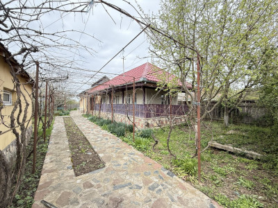 Snagov Izvorani casa locuibila cu livada de pomi fructiferi