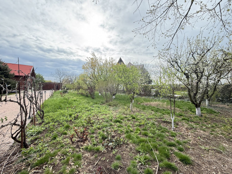 Fundulea, la 300m de acces A2,  casa P+M locuibila, gradina superba !