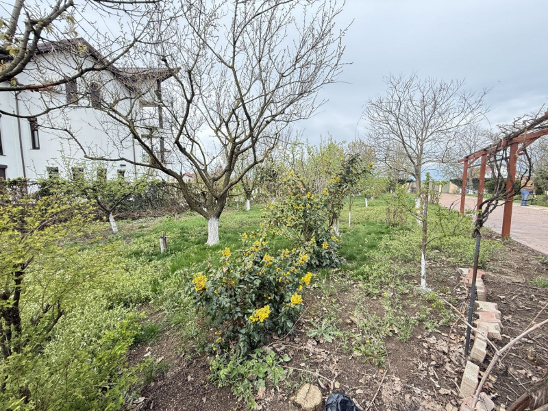 Fundulea, la 300m de acces A2,  casa P+M locuibila, gradina superba !
