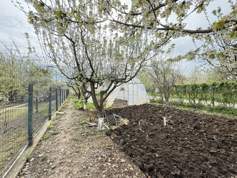 Fundulea, la 300m de acces A2,  casa P+M locuibila, gradina superba !