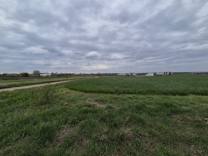  Teren intravilan Izvorani - Delta Snagov 