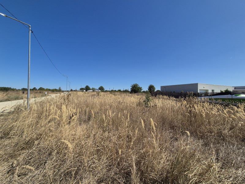 Teren ideal pentru rezidențial – Izvorani, zonă premium lângă lac