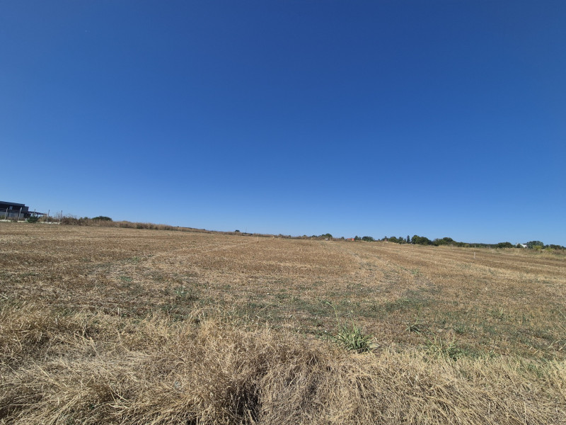 Teren ideal pentru rezidențial – Izvorani, zonă premium lângă lac