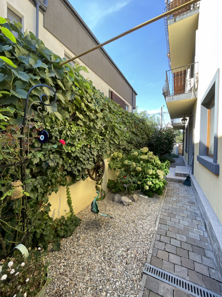 Vila Damaroaia – Spațiu, confort și locație perfectă