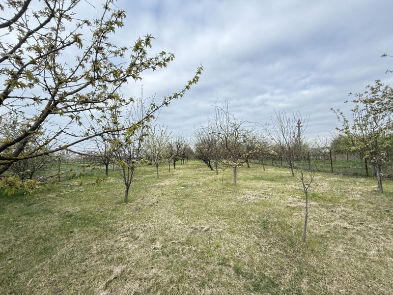 Casa cu livada Izvorani la 300m de Lacul Snagov asfalt si utilitati