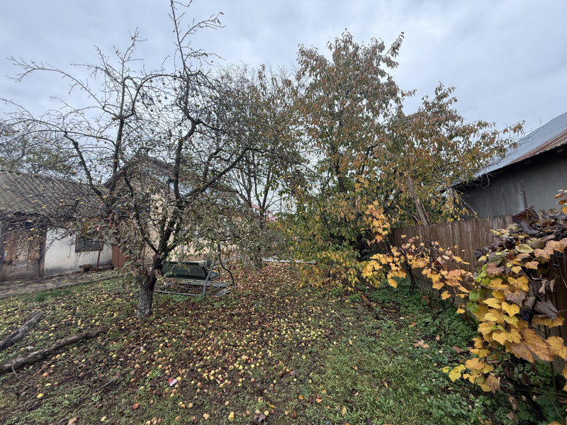 Casa cu livada Izvorani la 300m de Lacul Snagov asfalt si utilitati