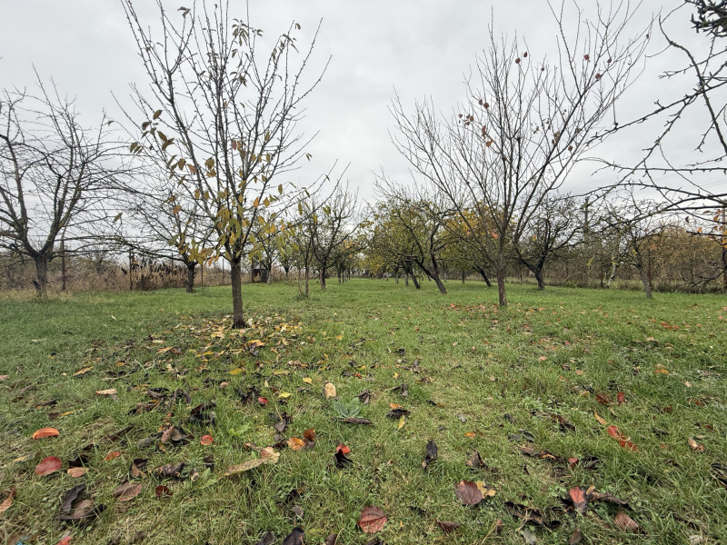 Casa cu livada Izvorani la 300m de Lacul Snagov asfalt si utilitati