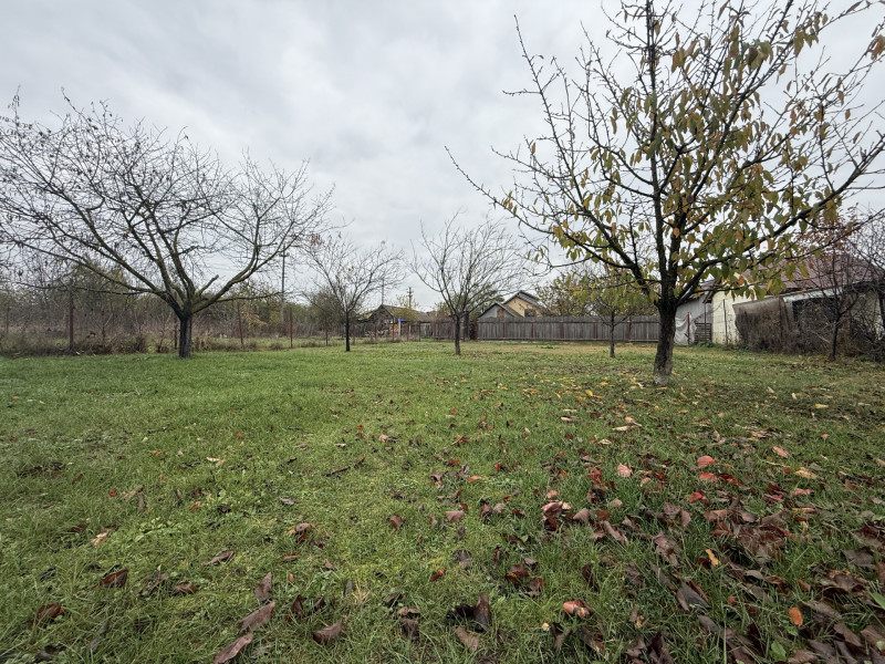 Casa cu livada Izvorani la 300m de Lacul Snagov asfalt si utilitati