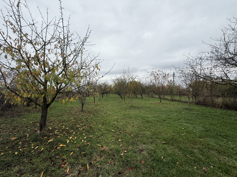 Casa cu livada Izvorani la 300m de Lacul Snagov asfalt si utilitati