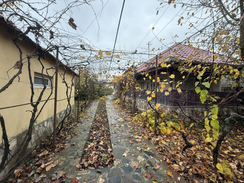 Casa cu livada Izvorani la 300m de Lacul Snagov asfalt si utilitati