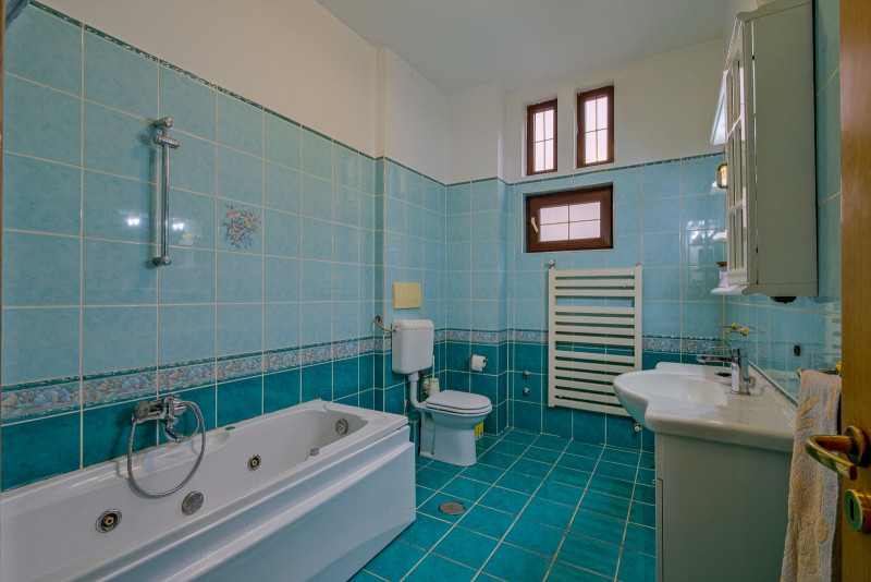 Vila Iancu Nicolae – între Grădina Zoo și Jolie Ville | Liniște, spațiu și confo