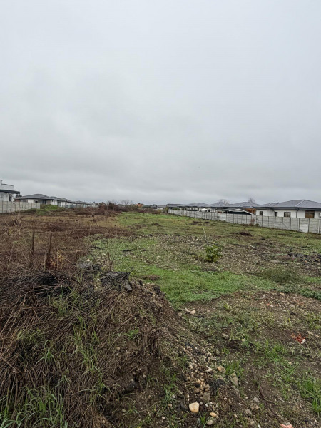 Tamasi, Corbeanca – teren 9838 mp