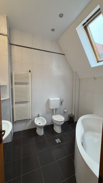 Vilă  de închiriat – Iancu Nicolae, Băneasa 