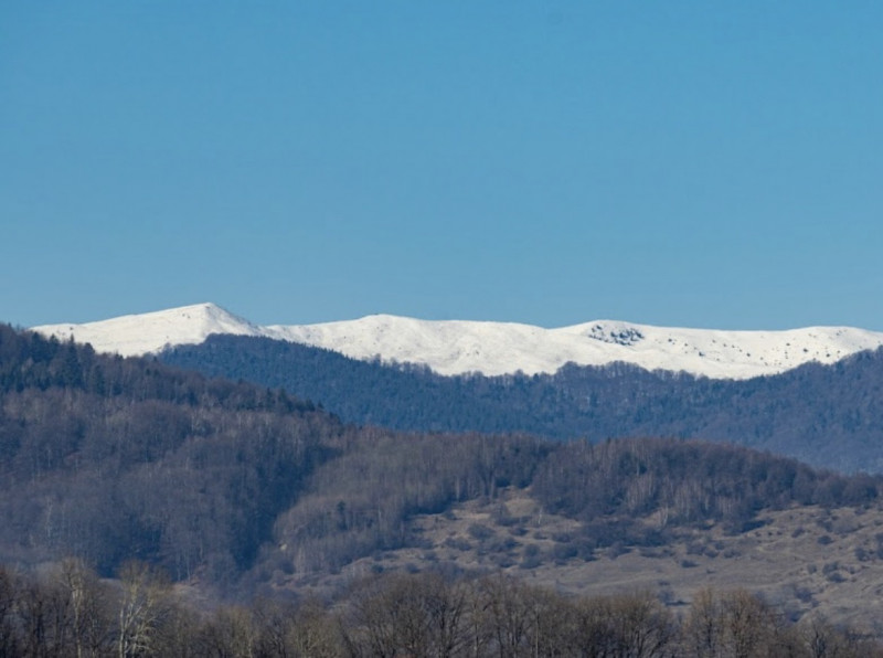 Vânzare teren Slănic Prahova- Platoul Teisani