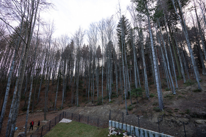 FORESTI SINAIA – Duplex Penthouse | Lux autentic la înălțimea muntelui 