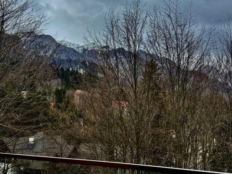 FORESTI SINAIA – Duplex Penthouse | Lux autentic la înălțimea muntelui 