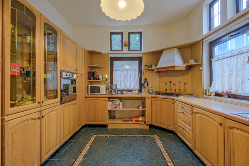 Vila Iancu Nicolae – între Grădina Zoo și Jolie Ville | Liniște, spațiu și confo