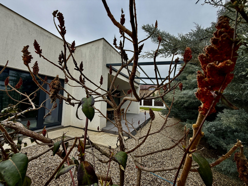 Martha Bibescu casa SMART, terasa 100mp priveliste W