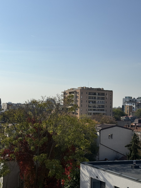 Dacia-Mosilor duplex cu vedere Sud