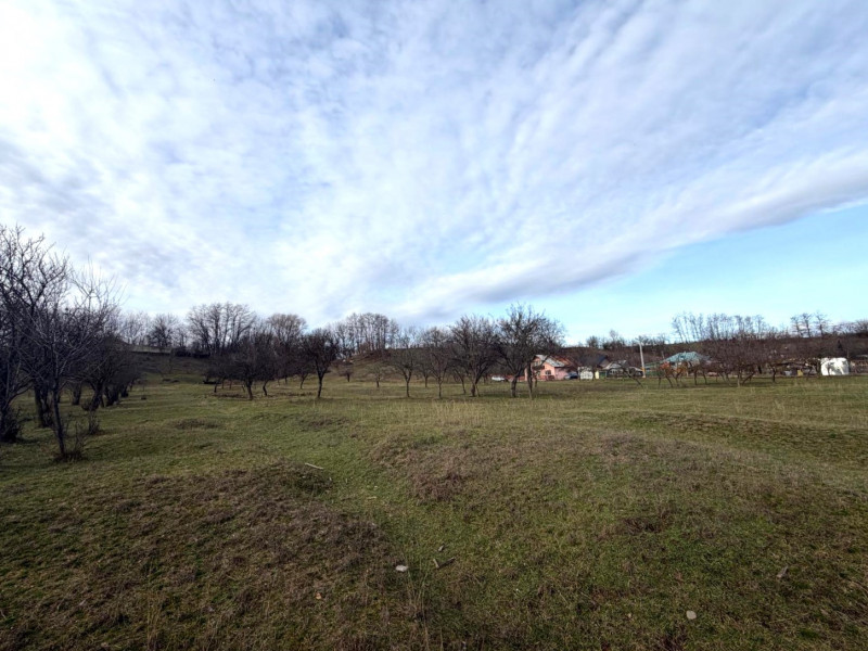 Teren intravilan  Vălenii de Munte – 9.123 mp | Deschidere 45 ml | Lângă râul Te