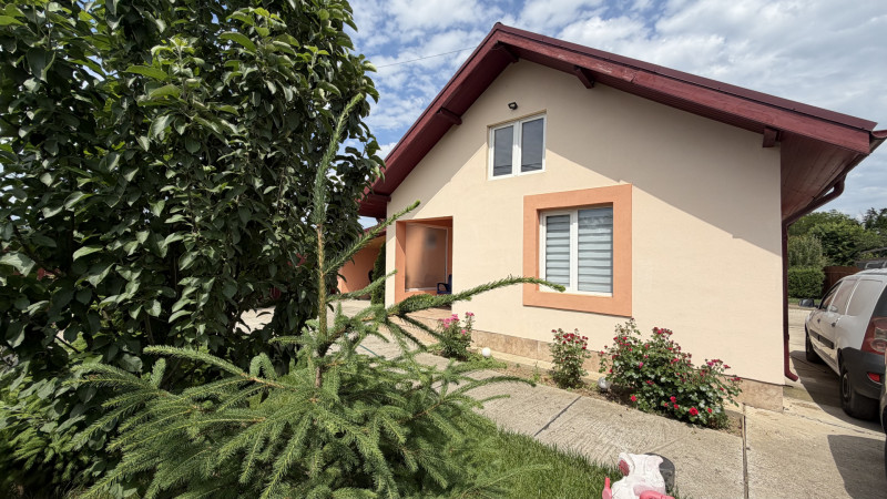 Tunari casă în Dimieni – 3 camere, curte amenajată, grădină cu seră, parcare