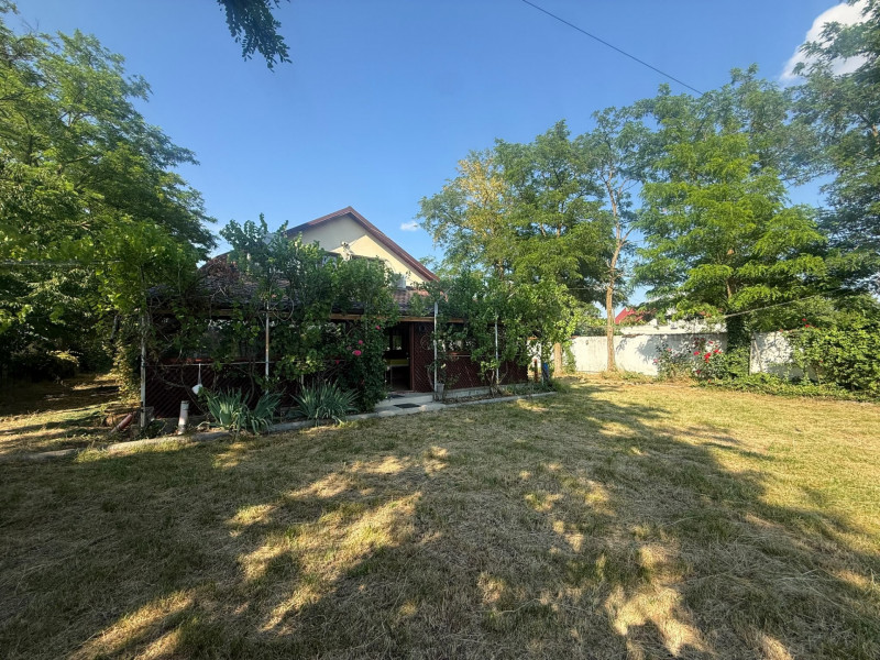 Vânzare proprietate Valea Argovei
