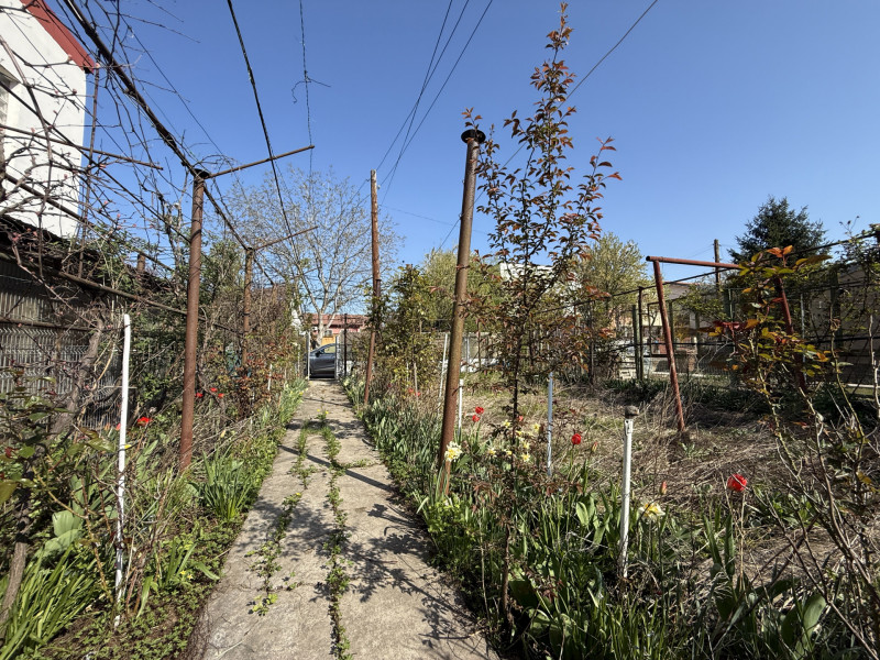 Casa cu gradina pe o strada linistita