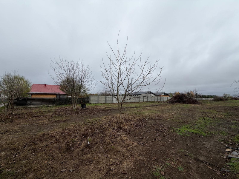 Corbeanca-Tamasi Oportunitate excelenta pentru dezvoltare rezidentiala