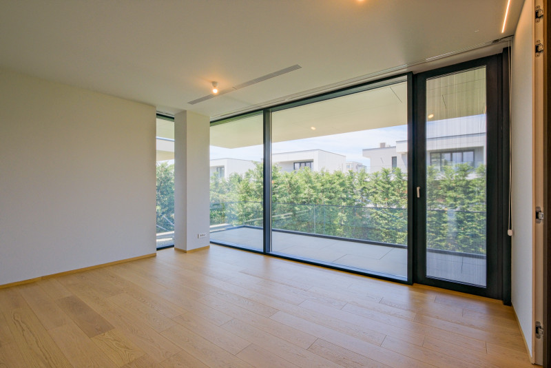Gorgeous Modern villa in Pipera