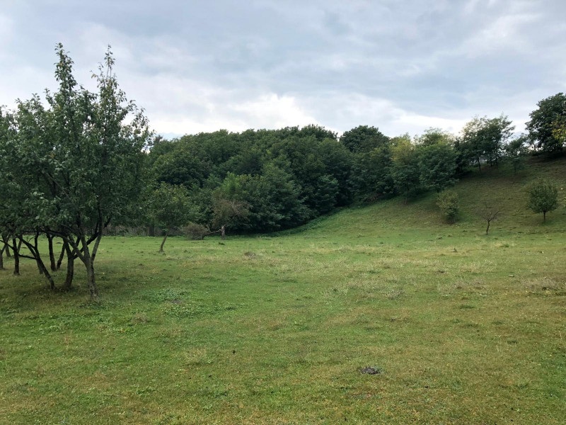 Teren intravilan Vălenii de Munte – 9.123 mp | Deschidere 45 ml | Lângă râu