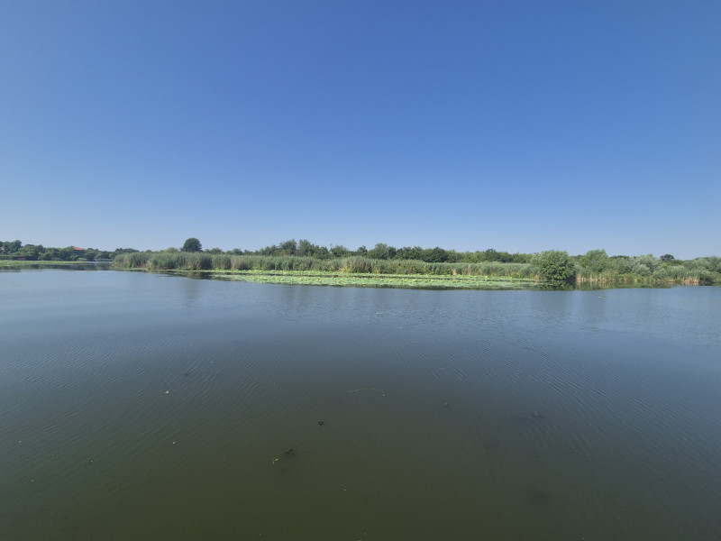  Izvorani - Teren cu deschidere generoasă la lacul Snagov
