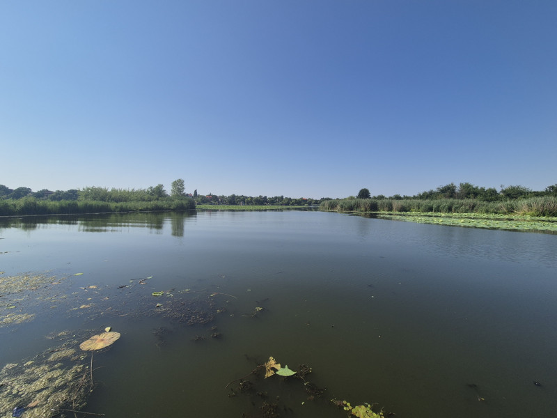 Izvorani - Teren cu deschidere generoasă la lacul Snagov
