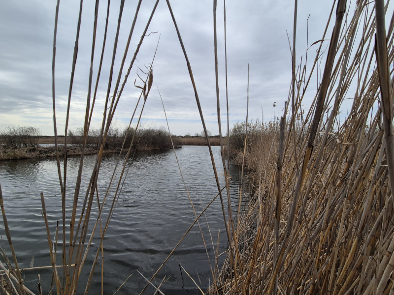  Izvorani - Teren cu deschidere generoasă la lacul Snagov