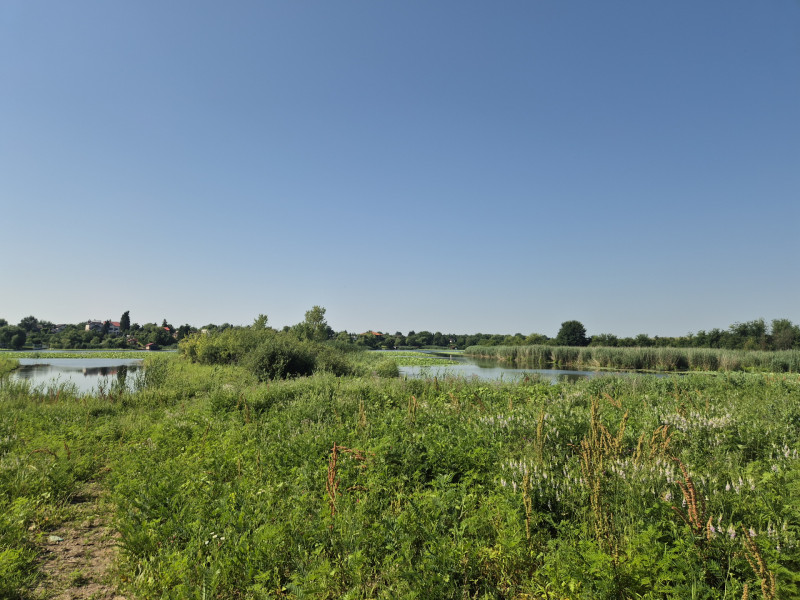  Izvorani - Teren cu deschidere generoasă la lacul Snagov